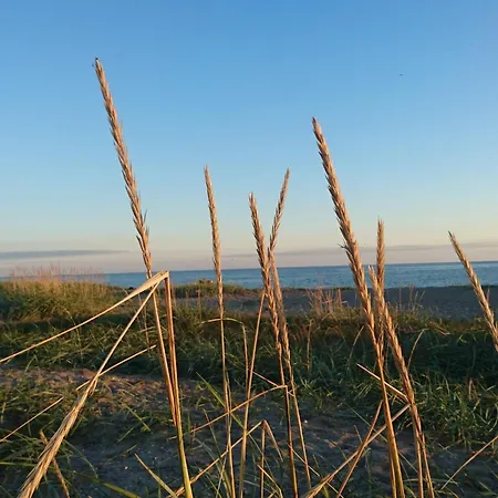 Cozy Seaside Retreat In Eno-by Traum Karrebæksminde