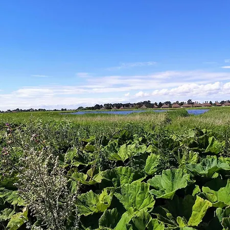Semesterbostad Cozy Seaside Retreat In Eno-by Traum *